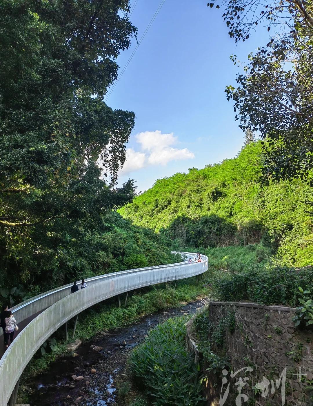 徒步爱好者集合!梧桐山白色溪谷栈道安排谁能想到梧桐山藏着这么个神仙步道⁉️?