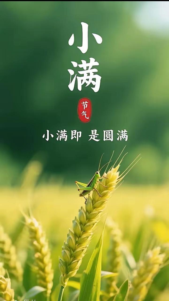 今天是公历5月21日，农历丙午年、癸巳月、乙未日（四月初五），是今年小满节气的交