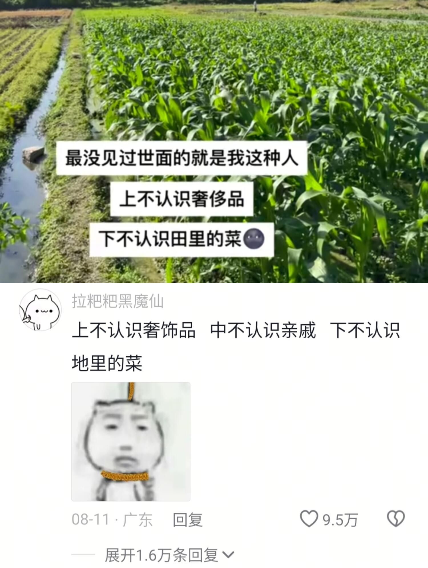 “最没见过世面的就是我这种人”哈哈哈​​​