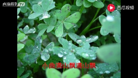 电影《小街》插曲 妈妈留给我一支歌 郑绪岚 关