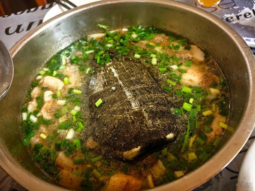 找了一家甲鱼特色店，清真的，就是五花肉和胡椒​​​