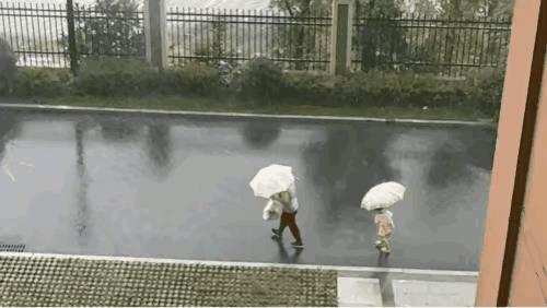 “这是亲妈呀[无奈吐舌]”！这是发生在湖南的一件事！暴雨天气，妈妈和女儿打着伞一前一