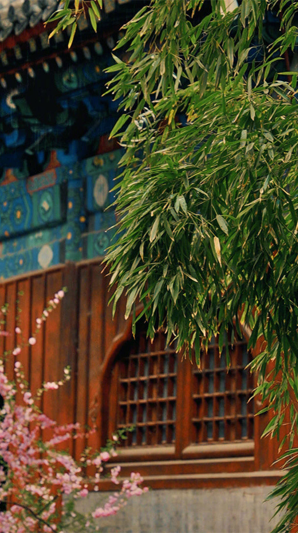 幸福是什么，幸福就是，人到中年有一个好身体，一个坏的记性，简单点，糊涂点，开心一