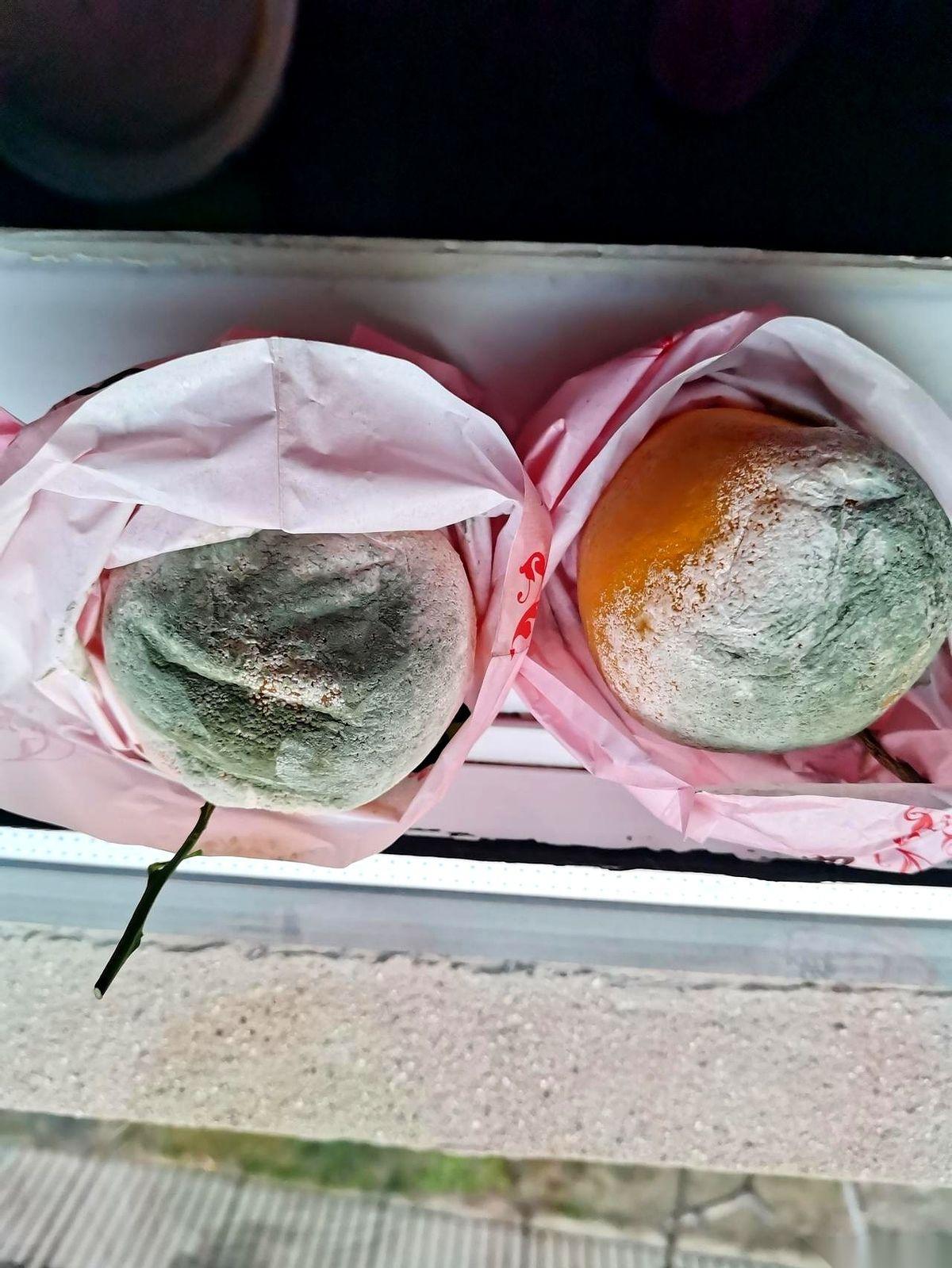 伸手到箱子底，想拿个橙子摆盘，指尖一软，心就咯噔一下。拿出来一看，好家伙，一团