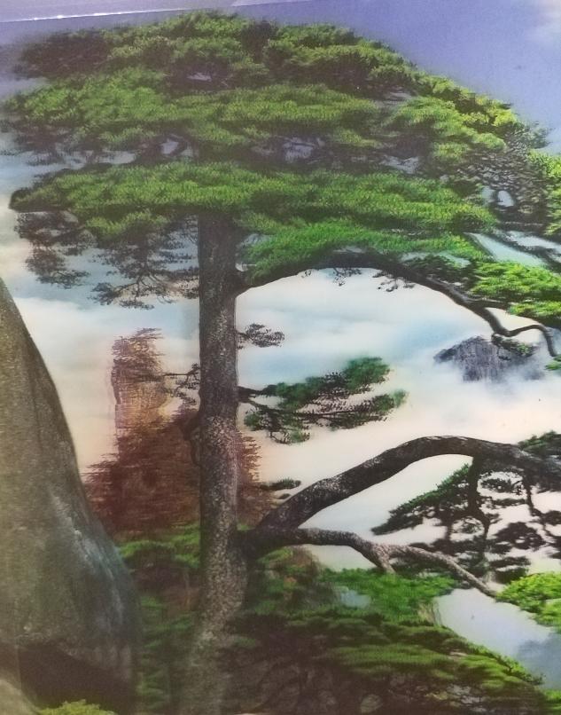 游客的觉醒你高速收费，我假期上路不收费你黄山山上平时268元宿舍，十一涨价