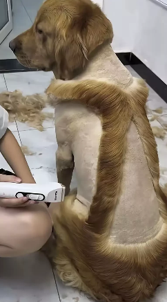 笑不活了”浙江，有一名女子晚上回家，刚推开大门，看见儿子坐在地，手里拿着丈夫平时