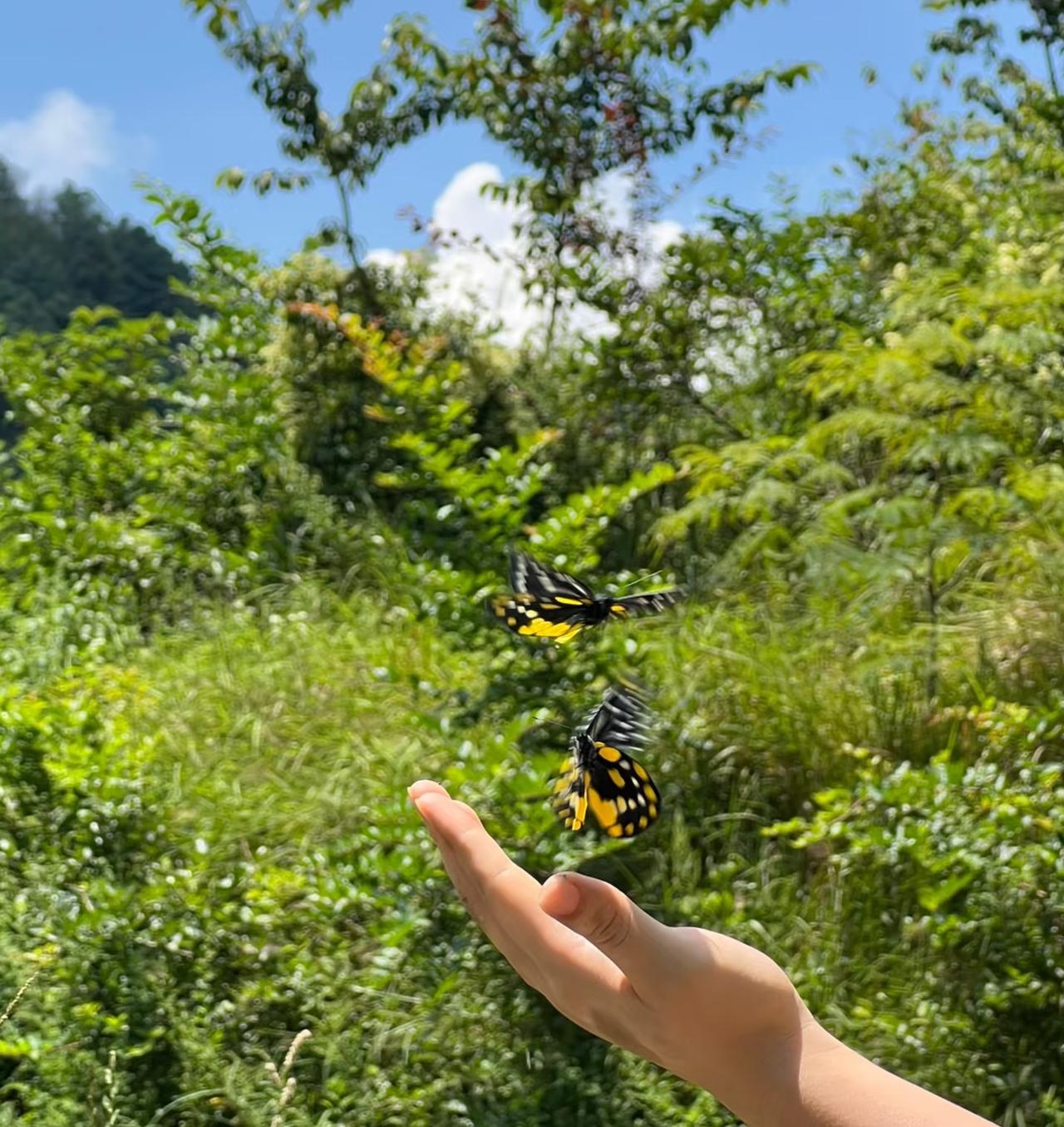 其实我们每个人身体里，都藏着癌细胞。我大伯，去年体检查出了早期肺癌。本来挺精神