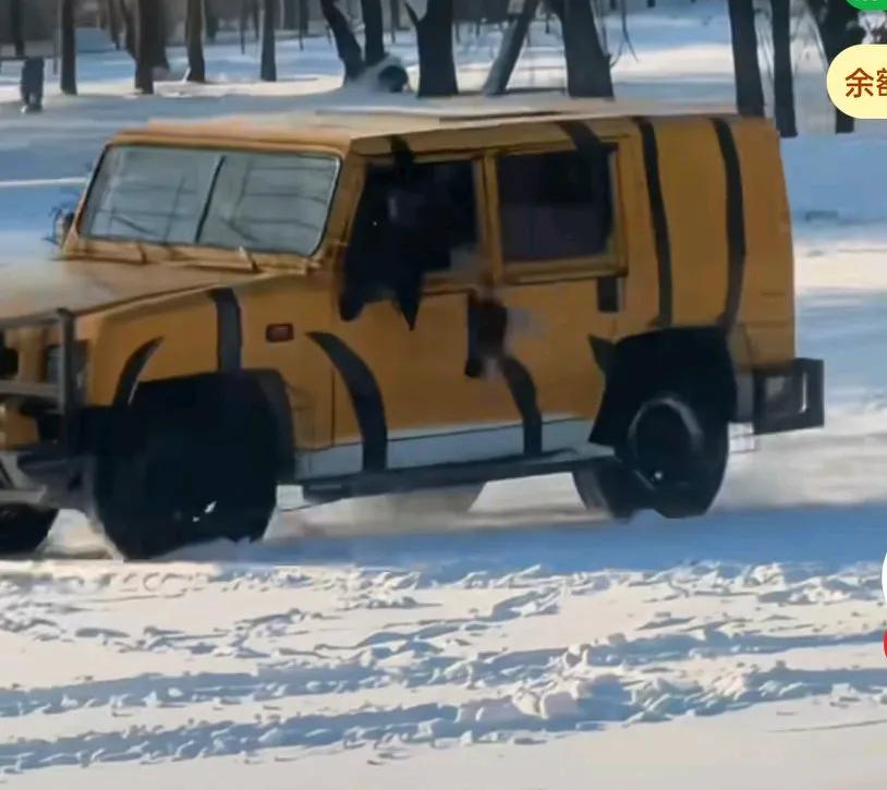 动物园喂老虎的小鸡，只见车里扔下了一只小鸡，两只老虎立马跑过来，还没等他扑上去