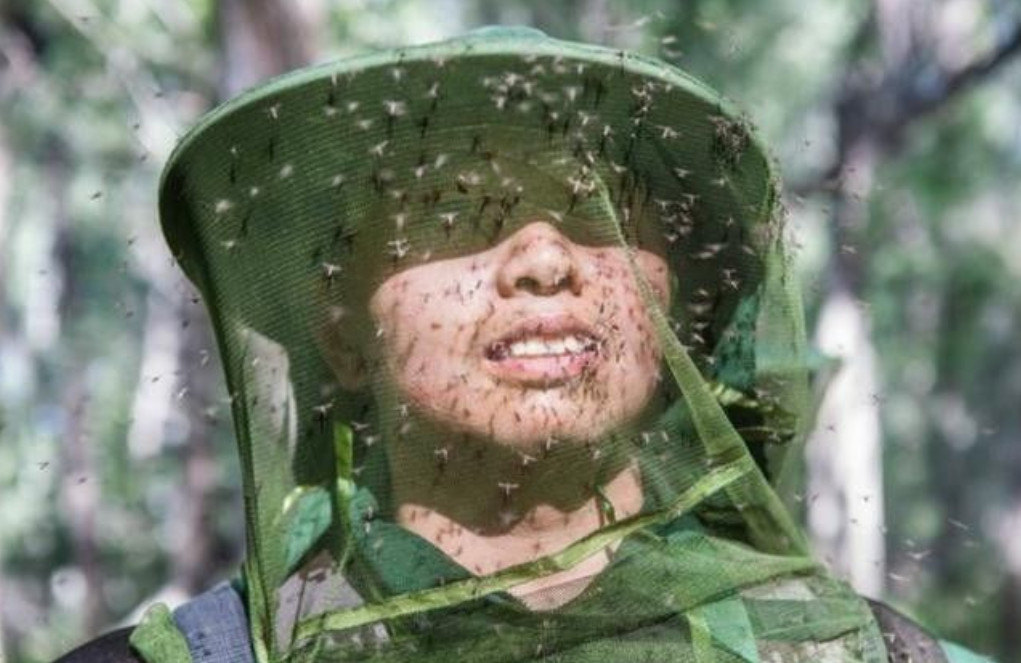 去了科克托海才知道驻守祖国边境的官兵有多苦！被誉为“李赔光”的网络大V主播李