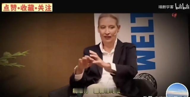 魏德尔曾接受德国媒体采访：记者：中国是欧洲的威胁吗？魏德尔：你为什么要挑衅一个正
