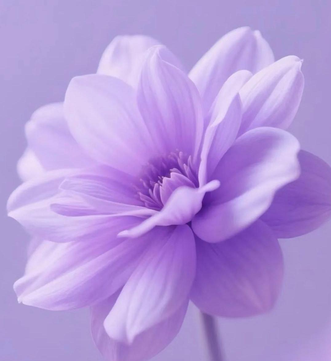 看透人性，看清人后，只会做两件事。一是远离人，远离熟悉的，远离不熟悉的