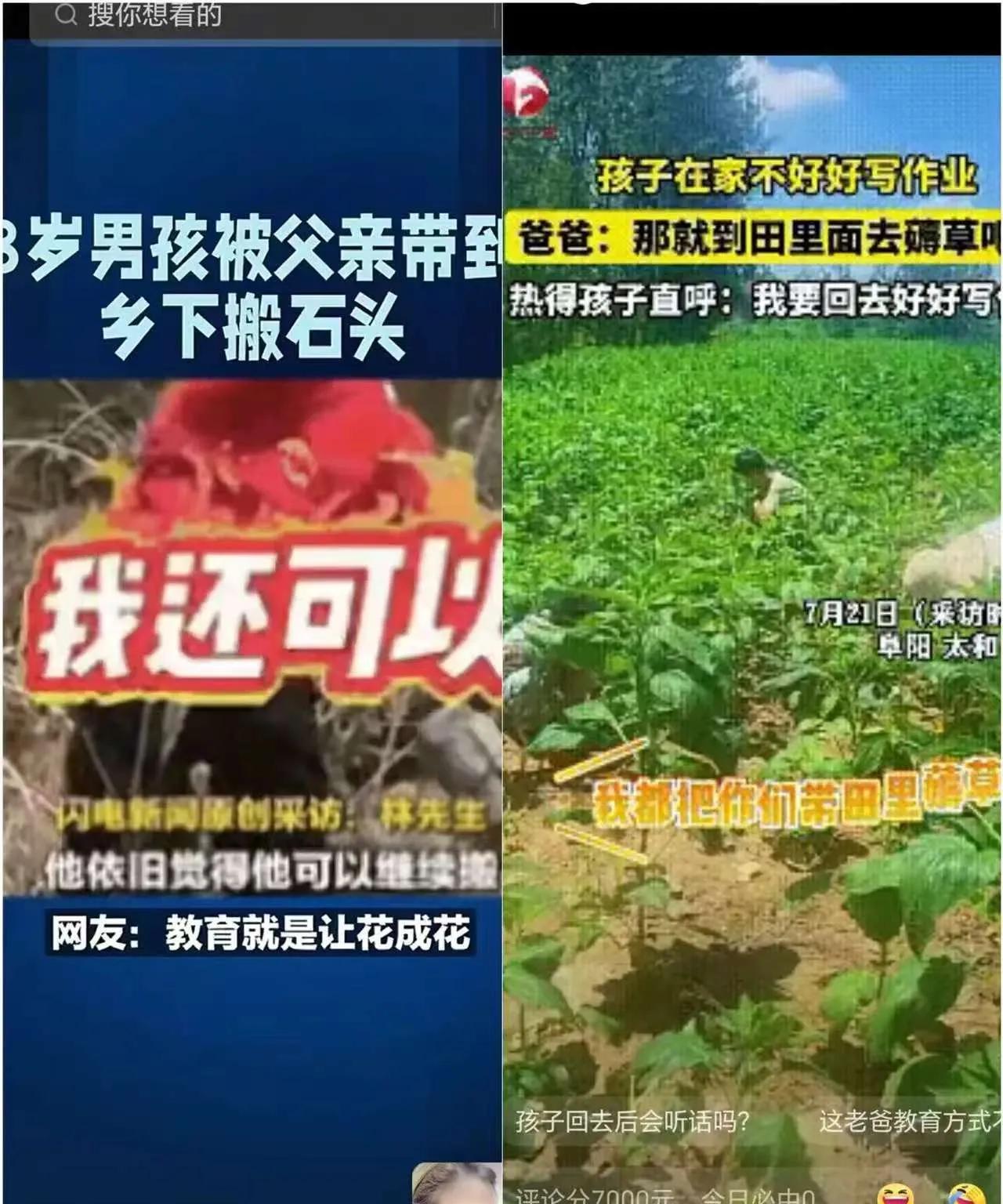 那个想用搬石头治厌学的爸爸，自己先被整不会了。杭州的林先生把8岁儿子拽回乡下老