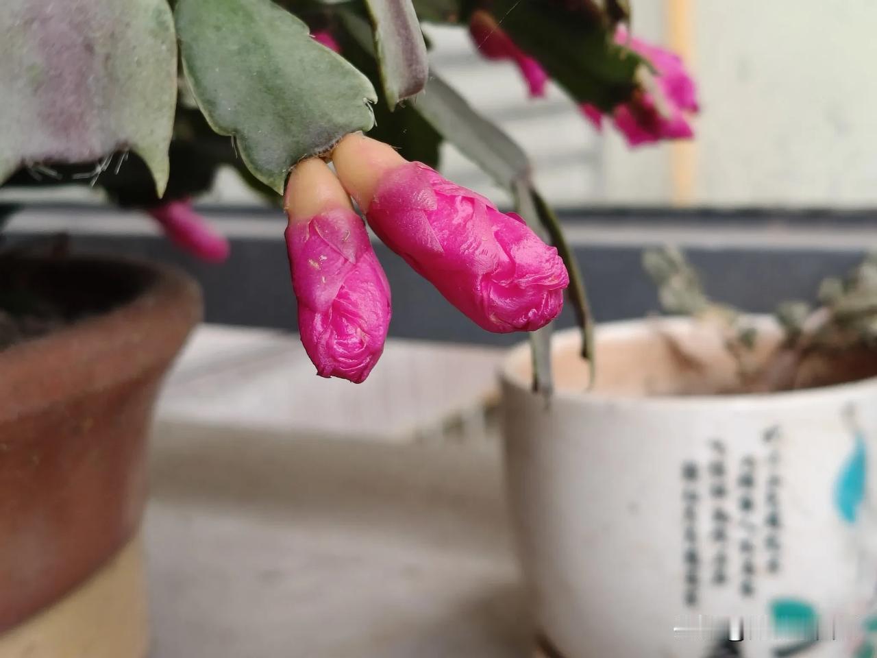 朋友们，你们有没有这样的经历。作为一名初中生的妈妈，在上课时间忽然接到学校老师