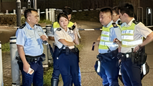 女子半夜骑单车被三只流浪狗追赶, 疑被袭击后致死