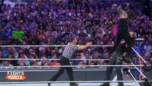 WWE第28届摔角狂热 地狱牢笼赛 送葬者 vs. T