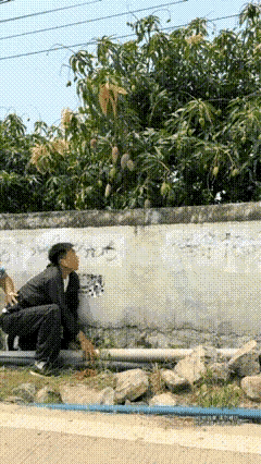 让你偷吃，被抓到了吧