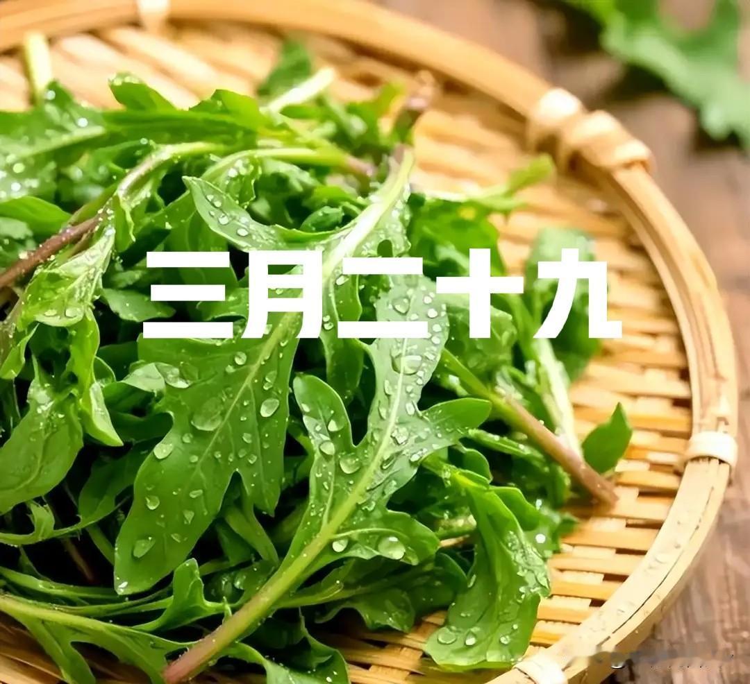 明日三月廿九，牢记“1不晒、2不借、吃3宝”，平安顺遂明天是农历三月廿九，