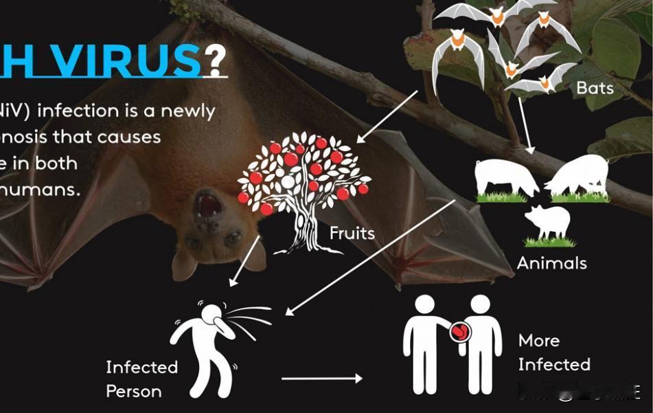 （原文开头保留不变）快讯！很多病毒新闻可以当资讯看，但有些，必须当风险信