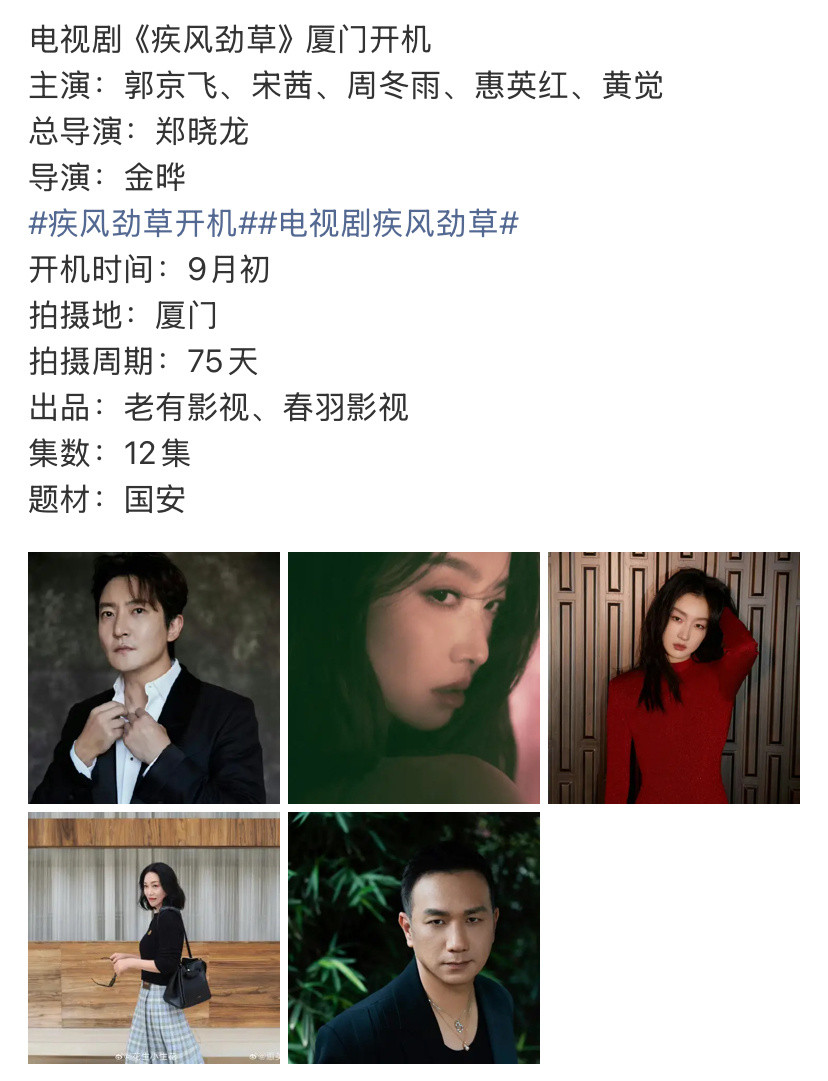 电视剧《疾风劲草》开机，三金影后咋回事，太不爱惜自己羽毛了，影后级别的电影咖去电