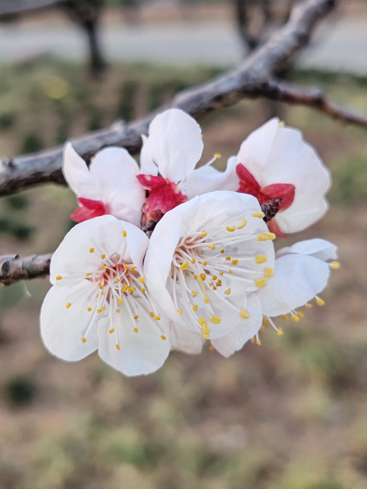 父母要告诉孩子哪些道理父母一定要尽早告诉孩子这些道理。健康永远排第一，没好身体