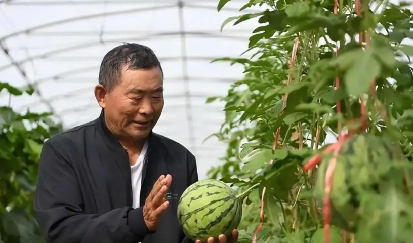 2007年，黑龙江一位连高中都没毕业老瓜农，仅花5年，就攻克了美国、英国几十年都