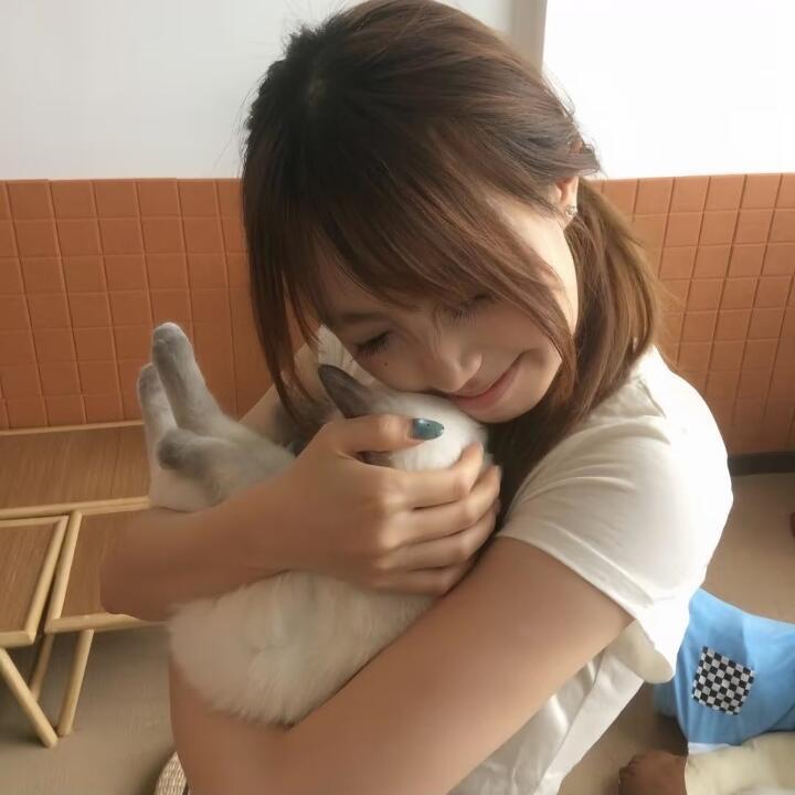 得到一只全球限量版萌物咪咪(〃>▽<〃)/