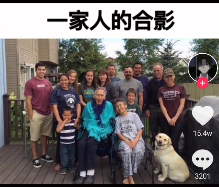 你不仅是宠物，更是家人，你的笑容是在坐各位最甜的。