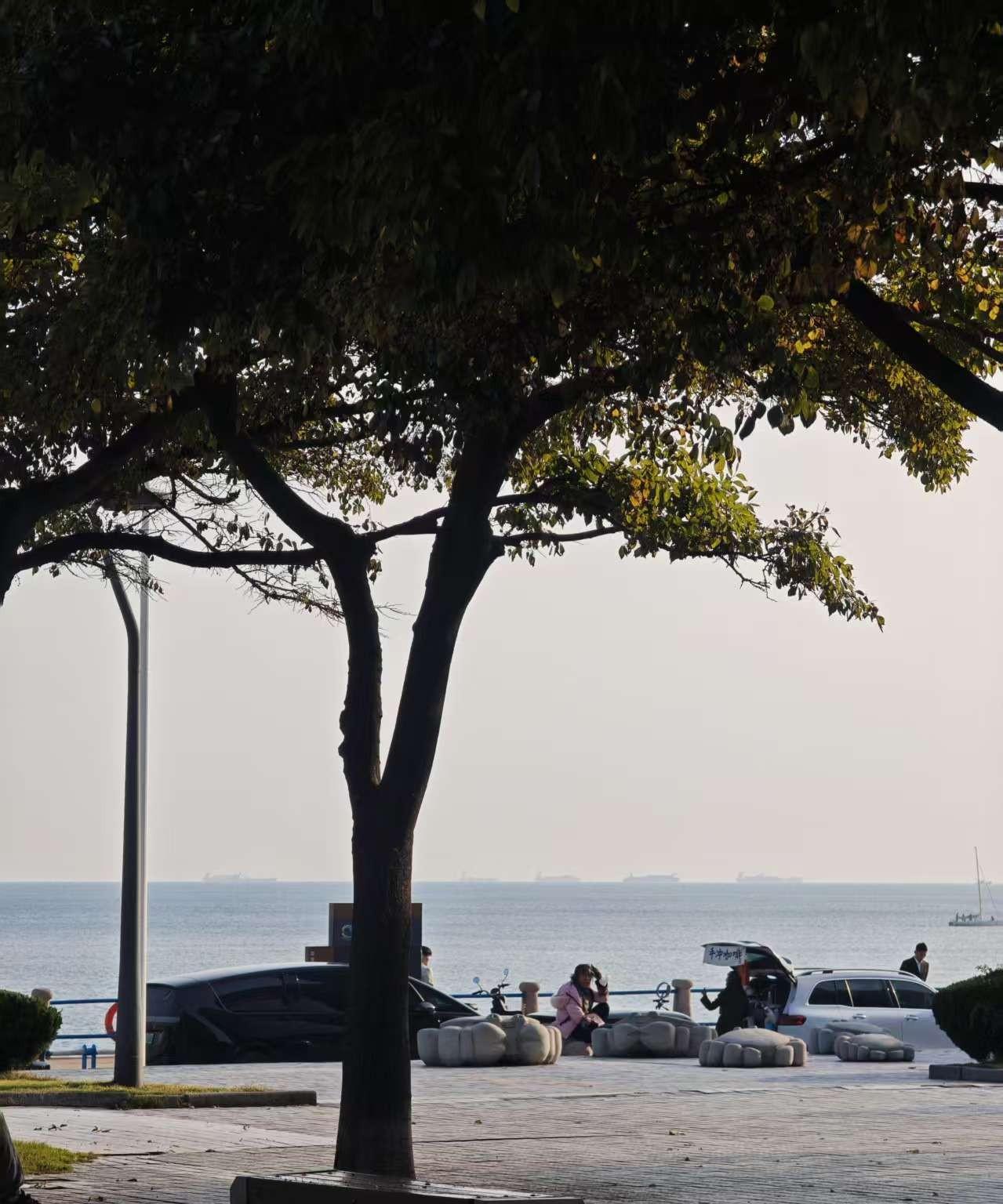 田姐的亲戚朋友都说她傻，劝田姐离开她老伴，现在田姐的老伴病了，生活不能自理，田姐