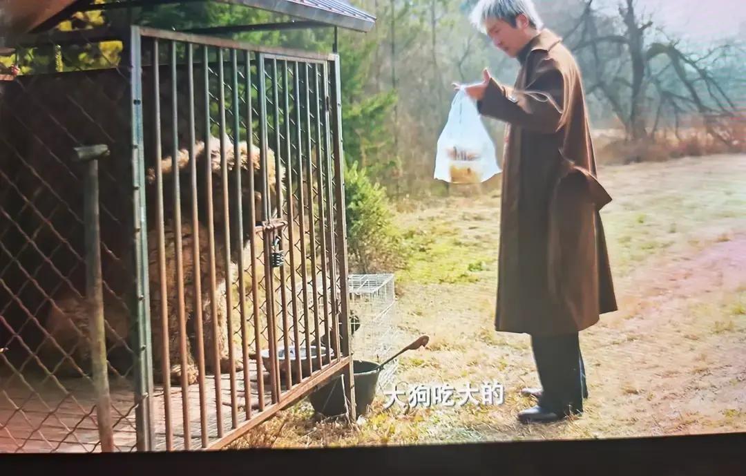 在东北，有一种穷，叫“面子太肥”。老崔咬牙养着吃牛排的藏獒，因为哥们儿说“这狗