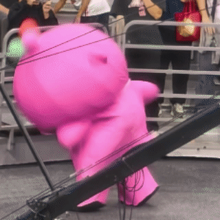 这海豚摇头有瘾