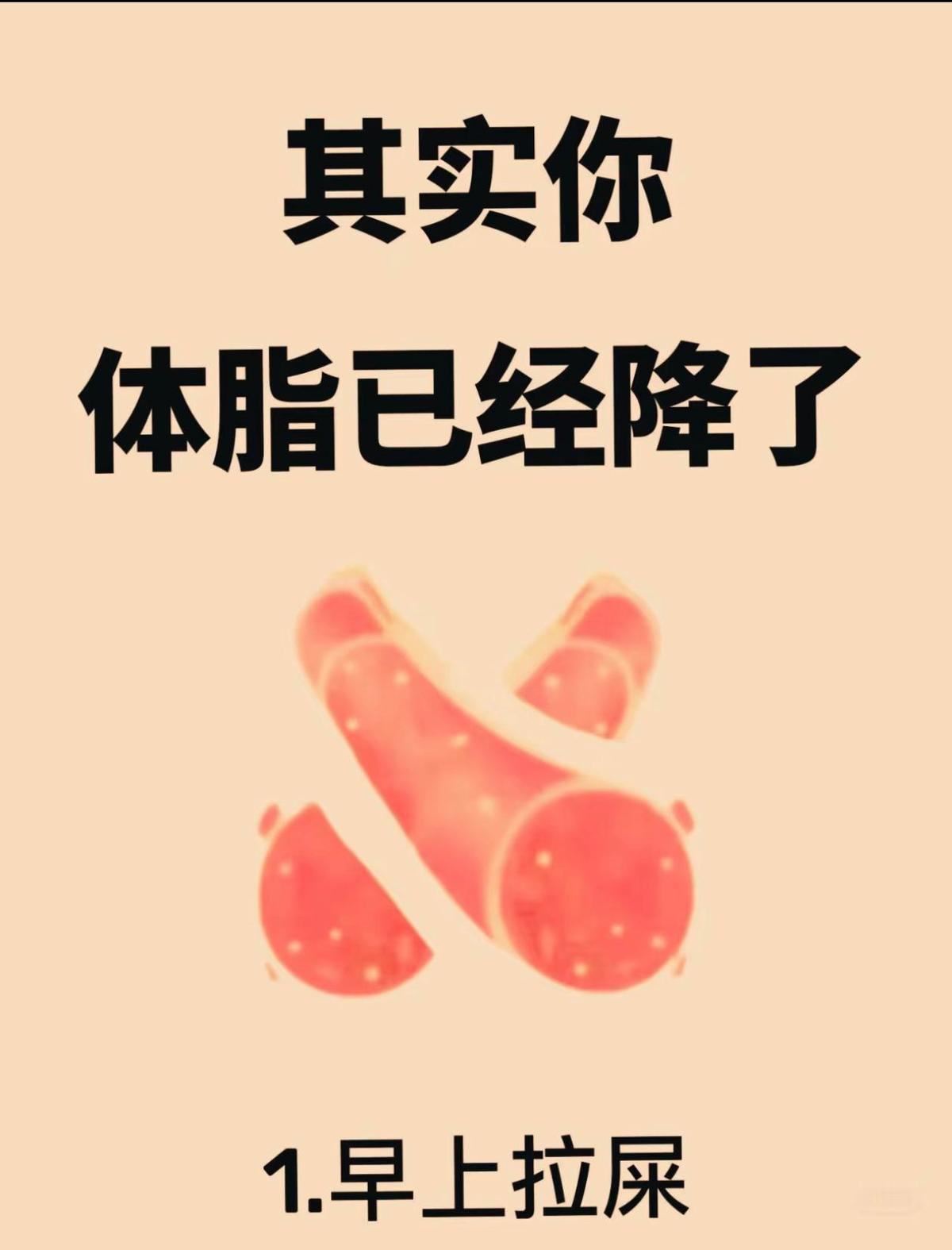 早晨拉得顺，不是脂肪自己跑掉了，是身体在给你发信号：你最近吃对了，睡好了，没瞎折