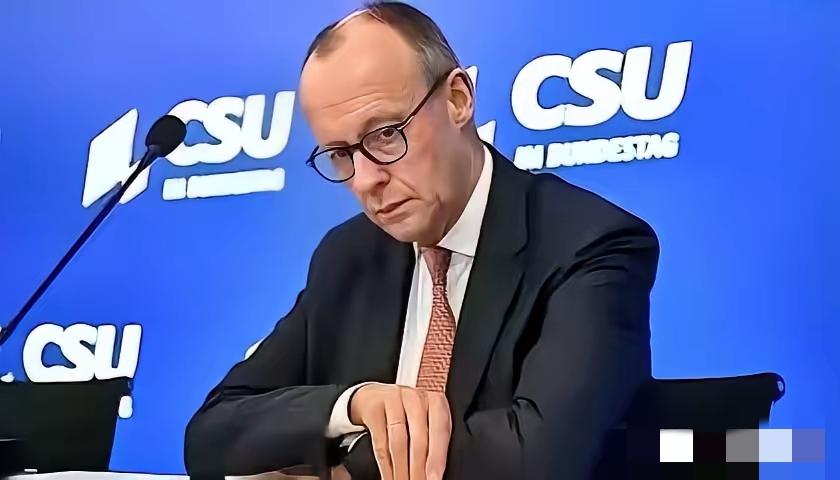 德国该不该为乌克兰继续砸钱？魏德尔说，“我们已经投了七百亿欧元”，还送去大批武