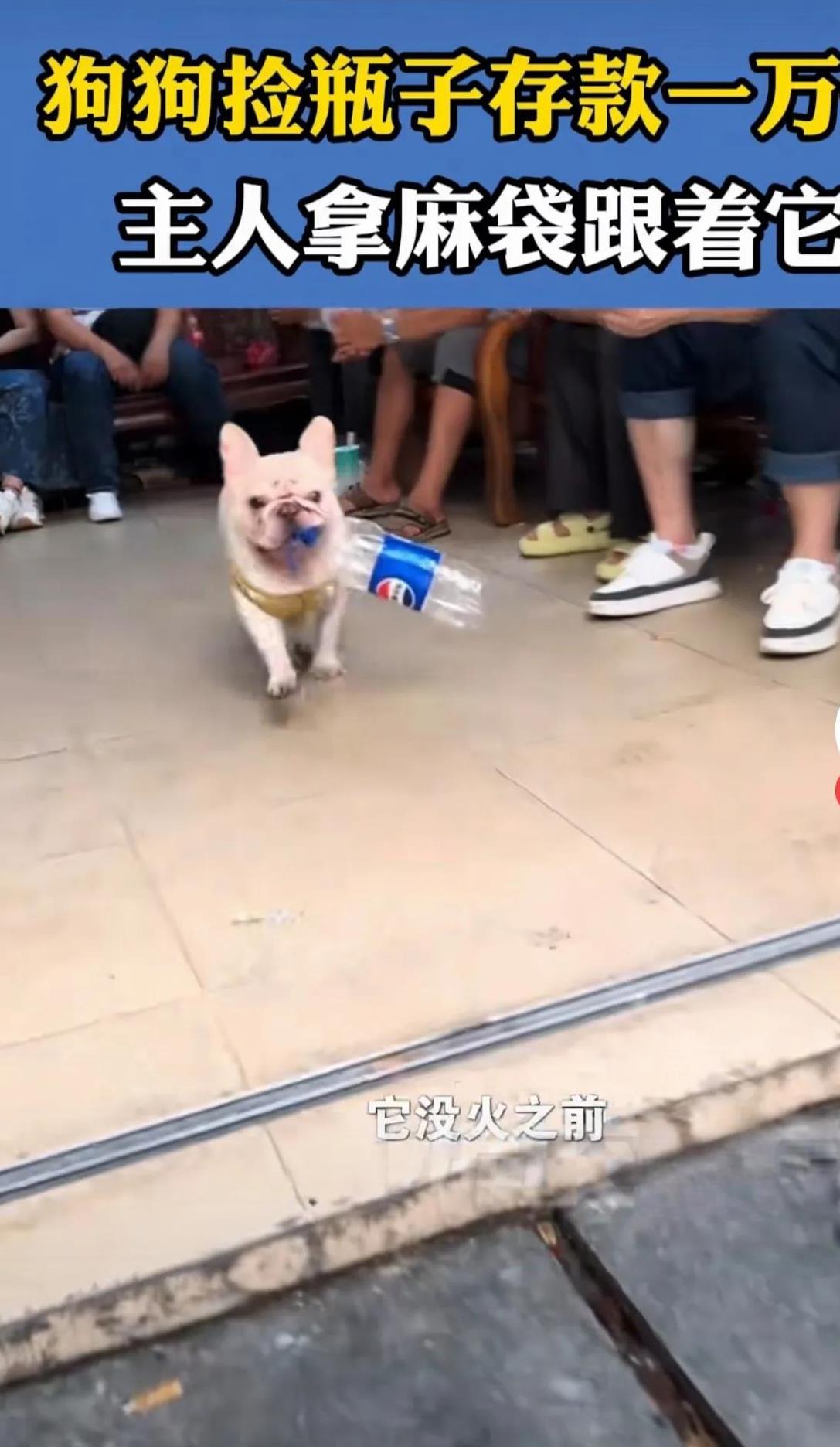 公园里，一只狗狗到处转悠，看到空的饮料瓶就麻利的用嘴叼起来，跑到主人身边，让主人