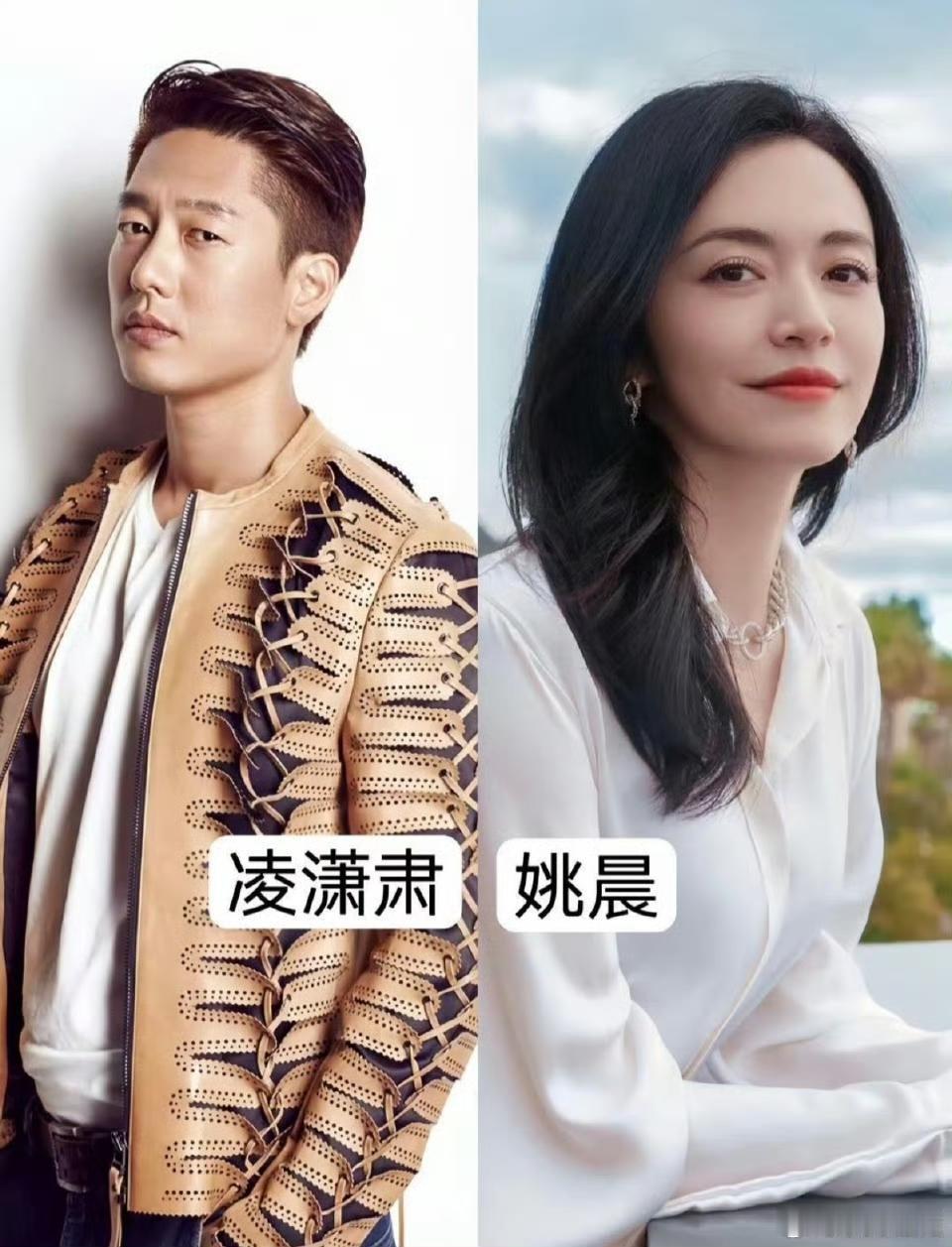 姚晨的第一段婚姻是和北电同班同学凌潇肃，两人是大学校园恋爱，一毕业就领证结婚了，