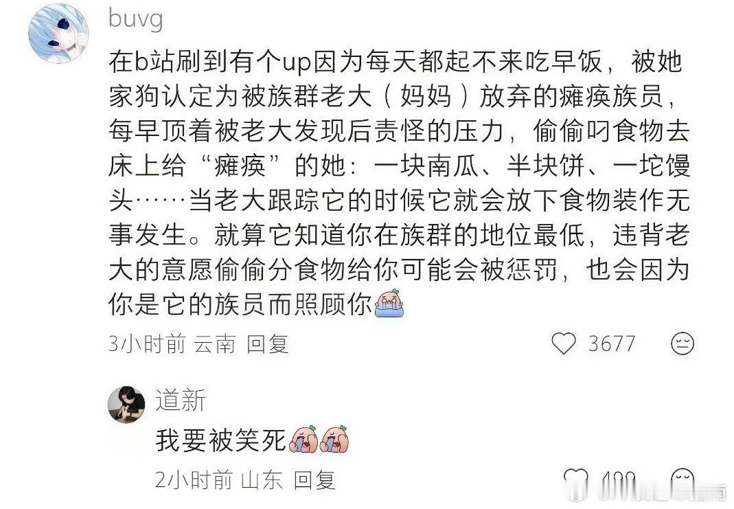 哈哈哈哈哈哈哈笑得我好难受