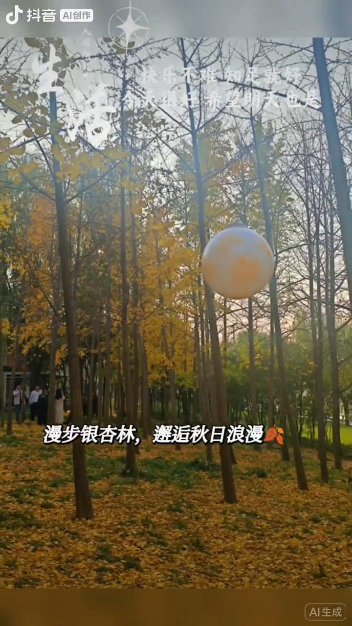 人间烟火大气，快乐不难，知足就好。今天很好，希望明天也是。银杏叶铺就的秋日浪漫，