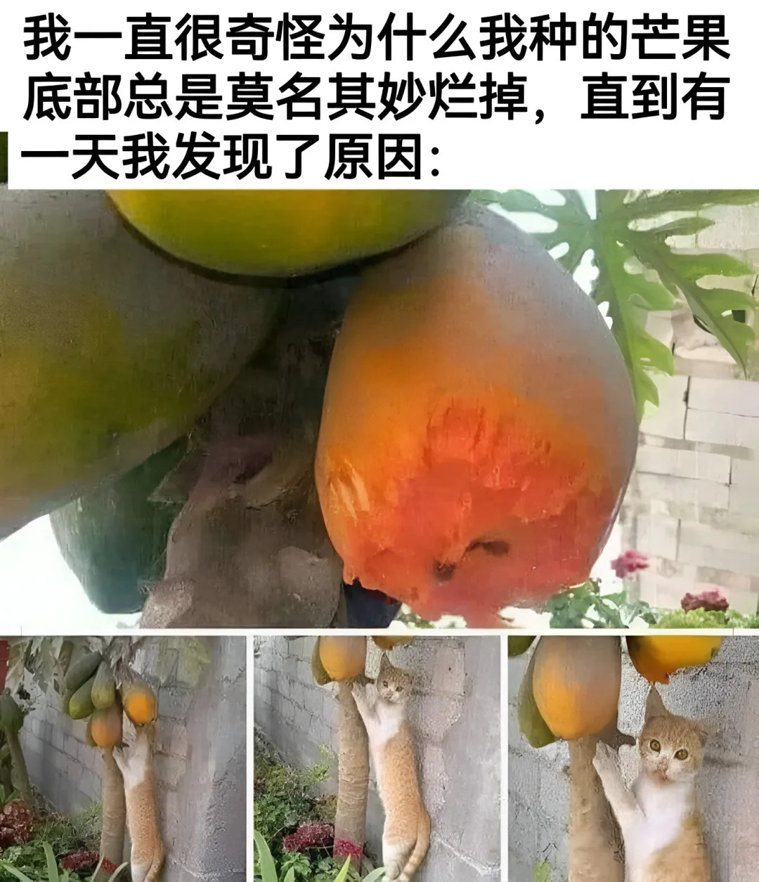 直到有一天我发现了原因