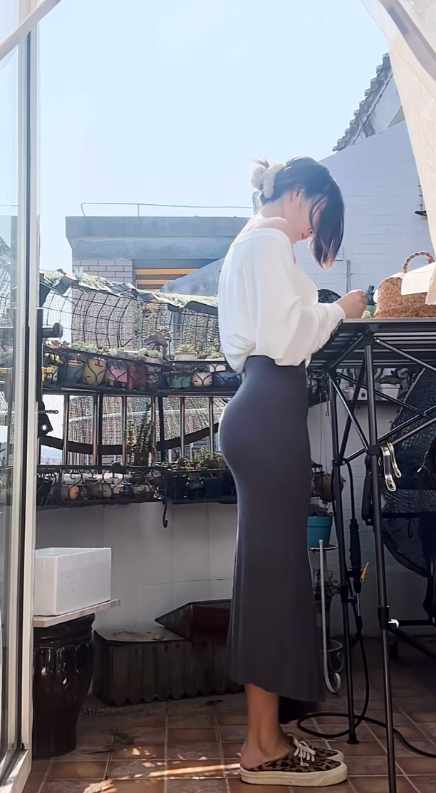 多肉绿成菜了，不忍直视