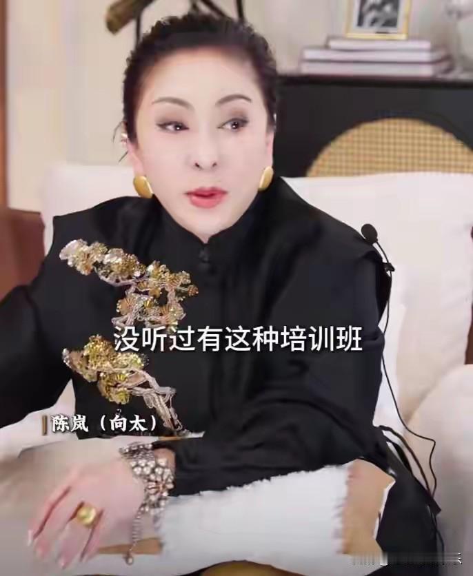 向太辟谣名媛培训班，还说方媛一心想为郭富城生儿子，一连为郭富城生了三个孩子是有多