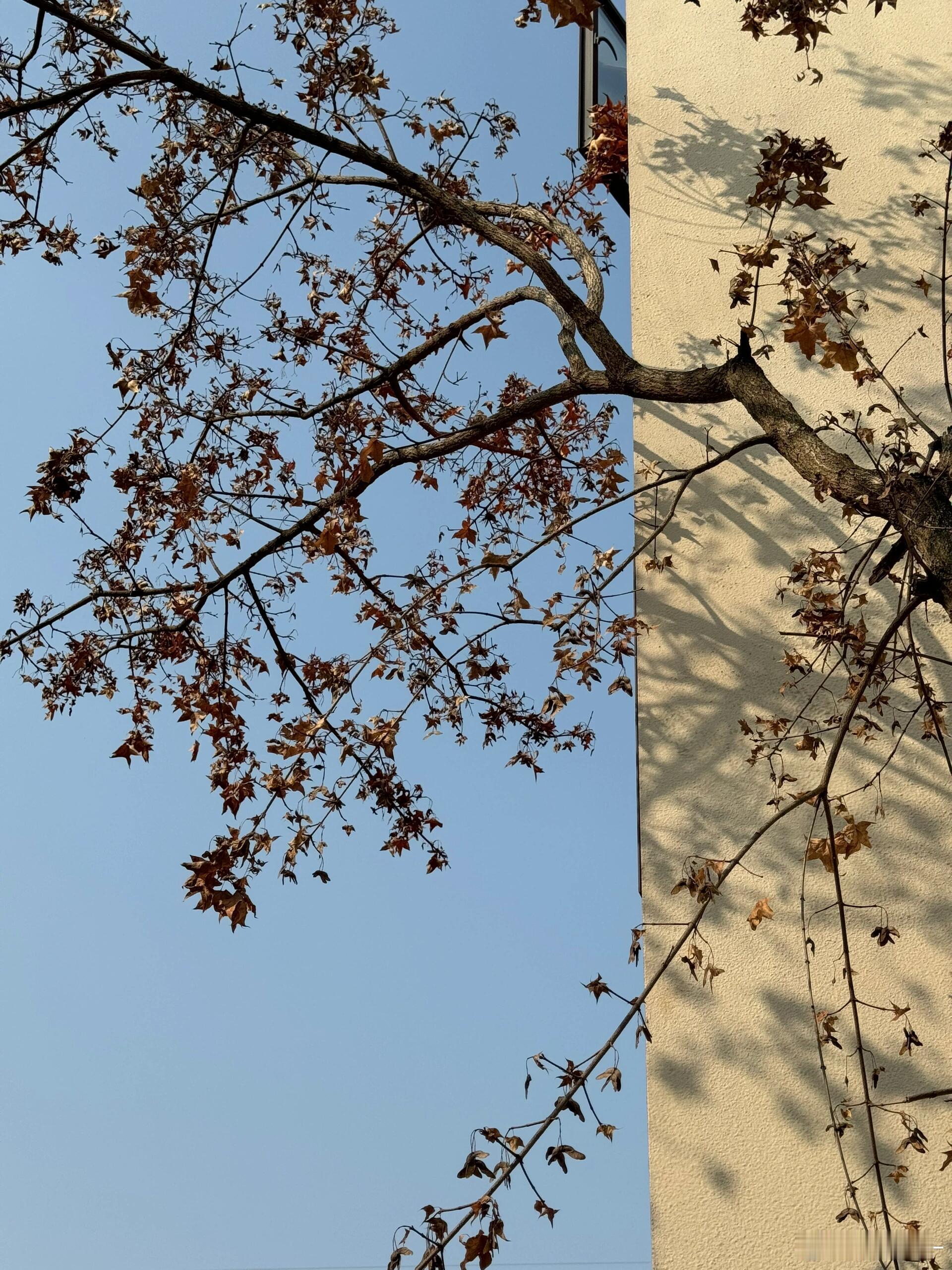 从某天开始，突然一下子就不焦虑了。不是问题解决了，也不是生活变容易了。只是有些事