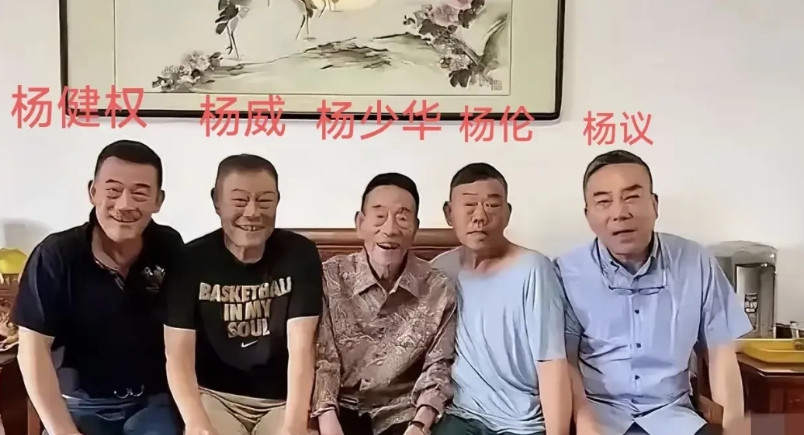 杨少华的五个儿子，个顶个的有钱，最有钱也最受宠的，不是大儿子杨威，反而是最小的儿
