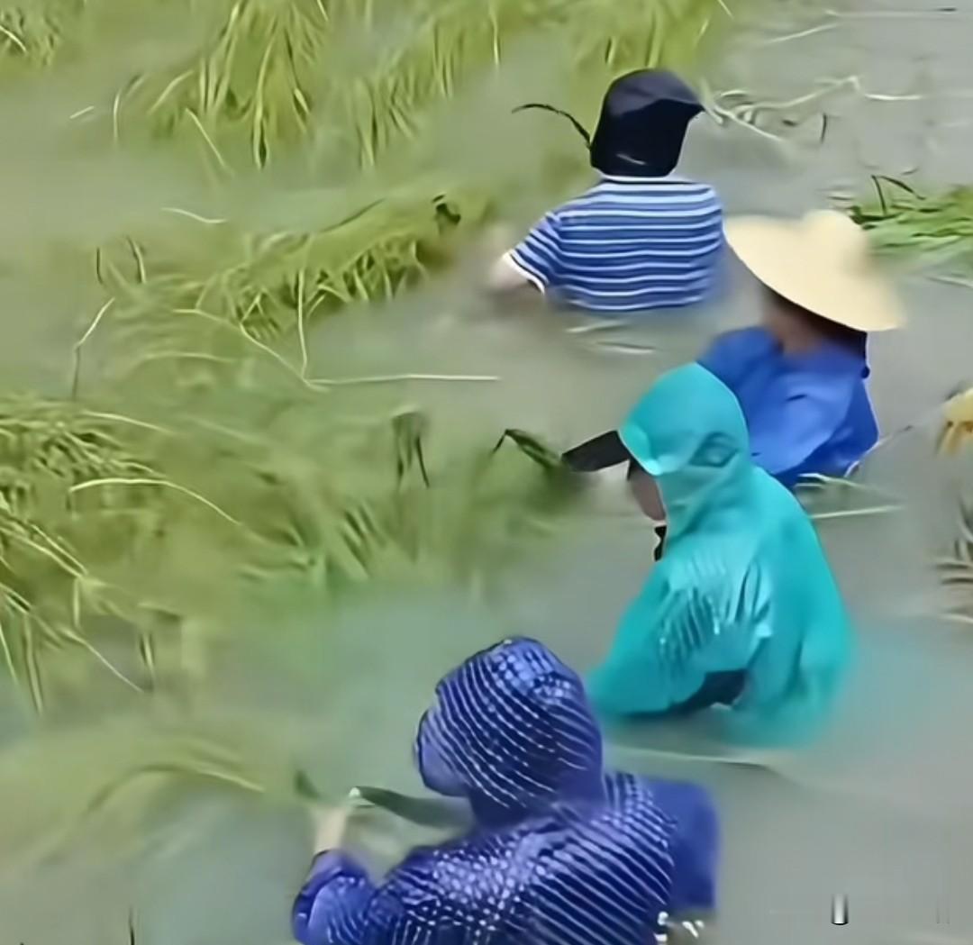 广西受灾在政府，以及各路爱心人士的帮助情况基本稳定。此次洪水波及的范围，广西