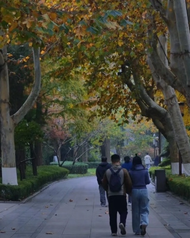 不管你信不信，只要一个男人和一个中年女人发生了说不清道不明的关系，这俩人成了所谓