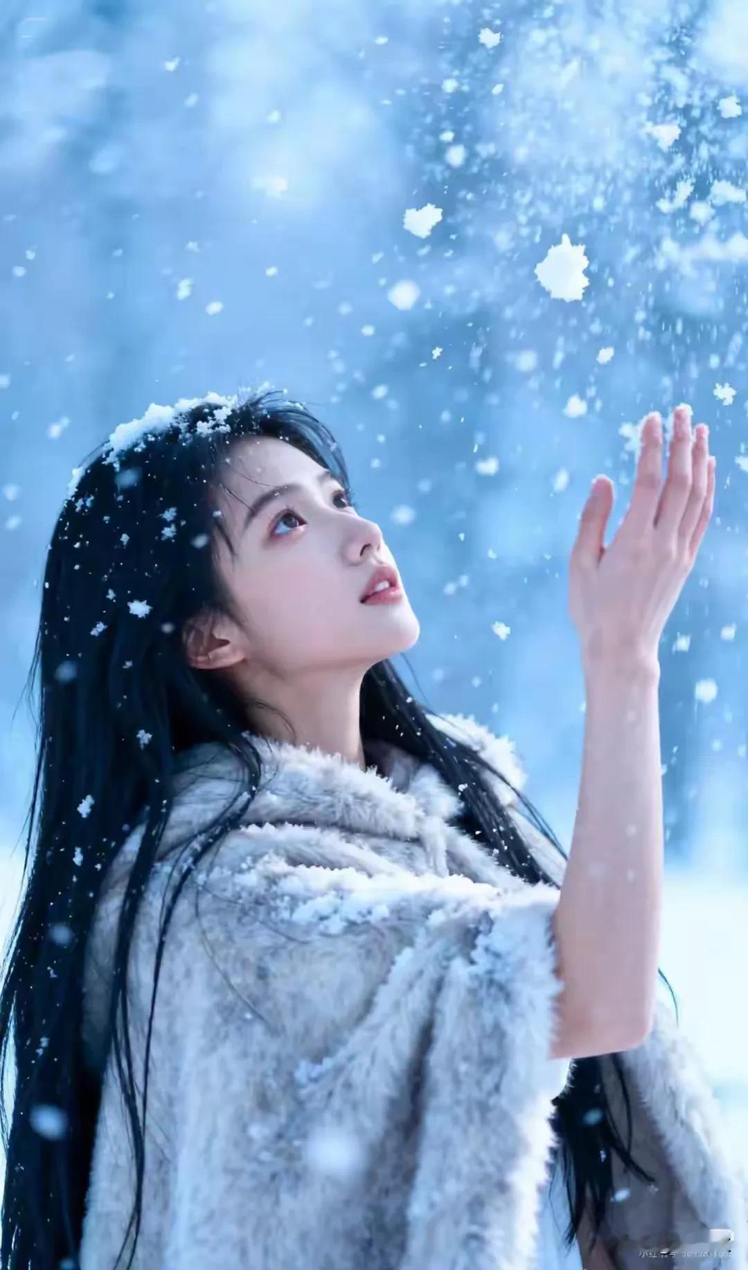 雪的浪漫，雪的温柔，雪的遐想，雪的温馨。让人久久不能忘怀。这片雪落了又融，像极了