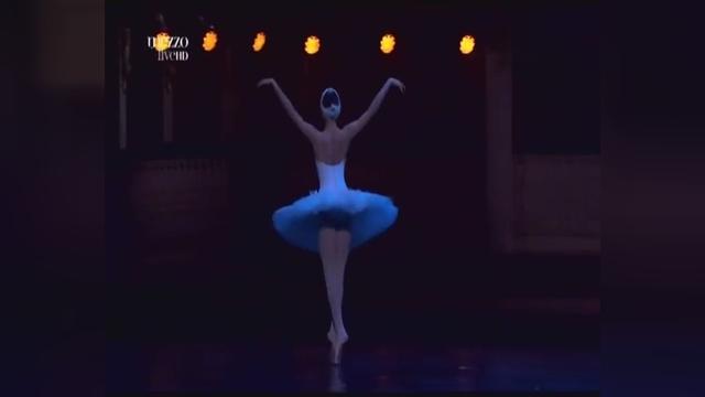 大提琴名曲 天鹅