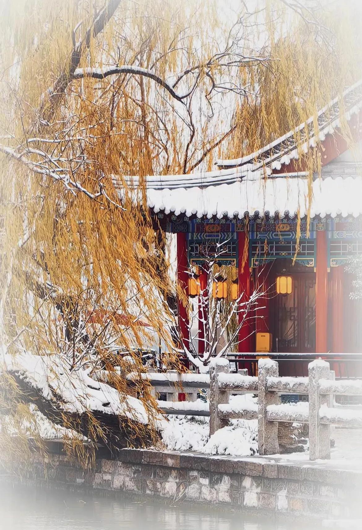 雪后济南美景