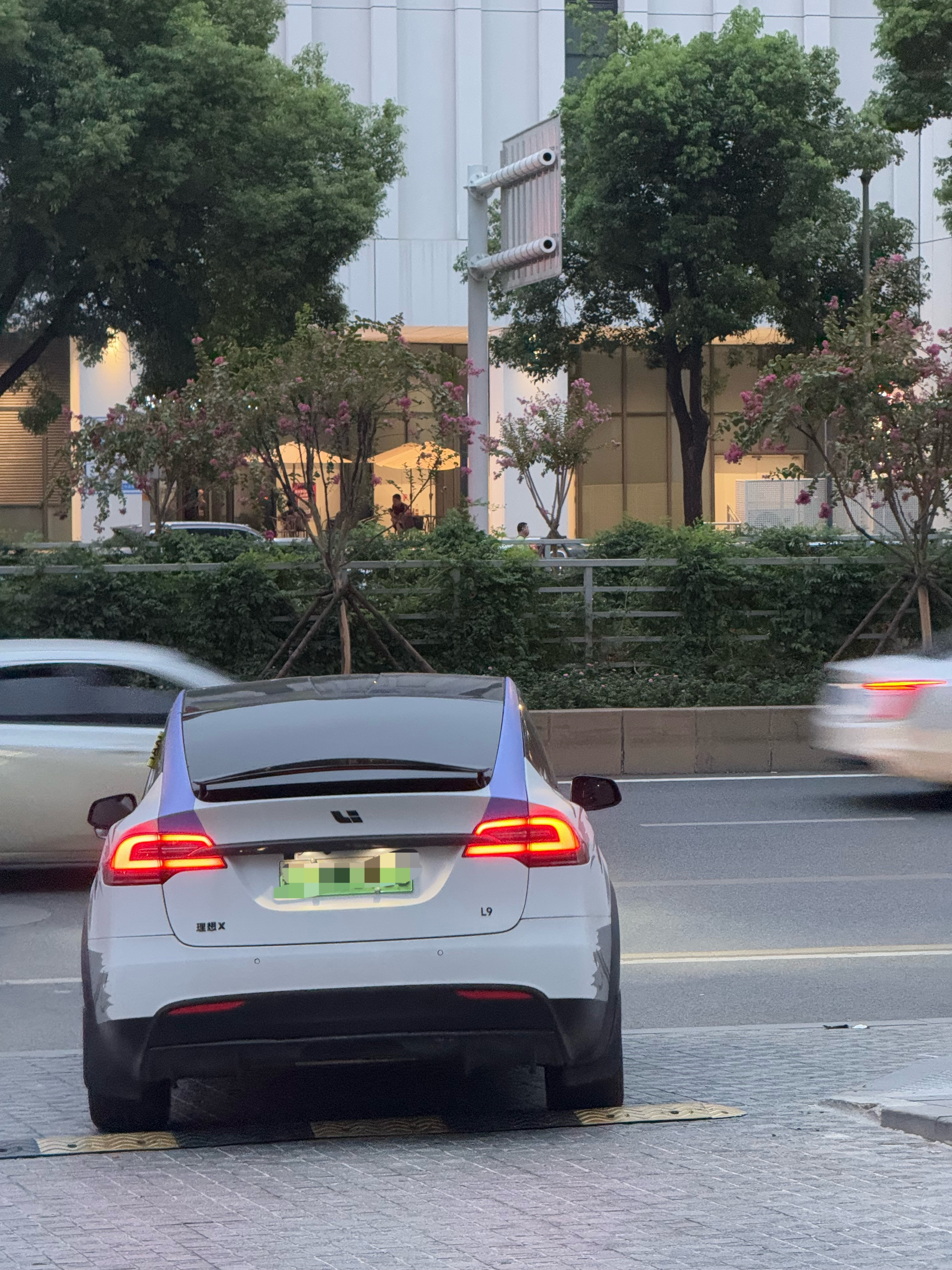 远看特斯拉，近看理想X[doge]​​​