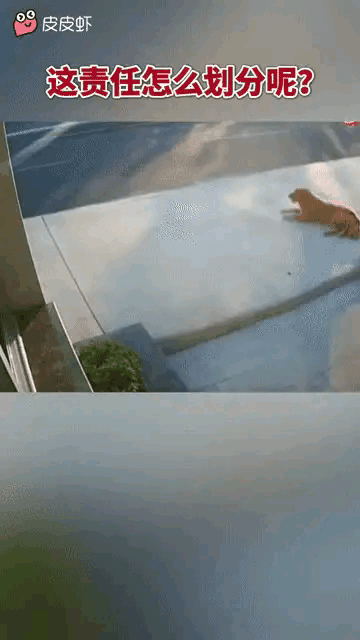 有没有明白人说一下，这事该怎么处理[思考]