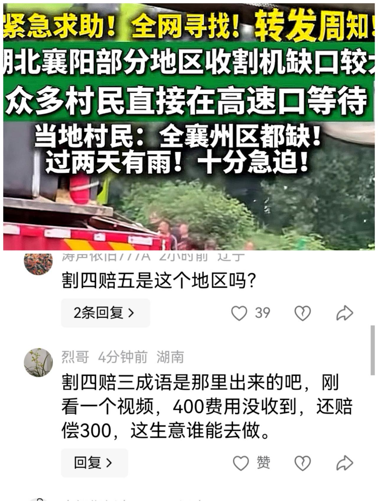 襄阳！割四赔五，好样的！求援的，当地政府这会儿还躲着呢？人家商丘的小两口