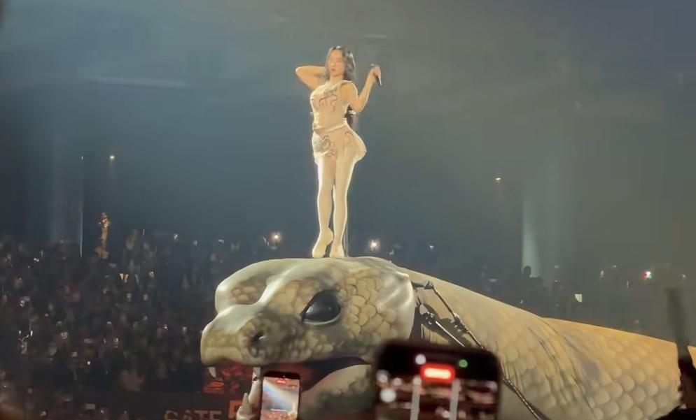 蔡依林演唱会上踩在大蛇上出场，全场炸嗨了，太有创意了！